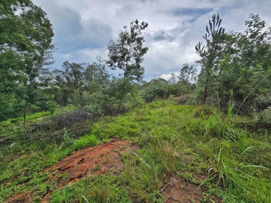 Commercial Property for Sale in Wilderness Heights Western Cape